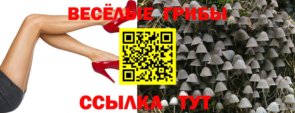 Псилоцибиновые грибы мицелий Новоуральск